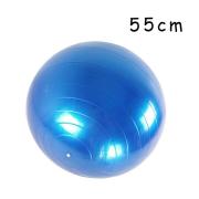  55cm Exercise Ball - Blue 