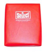  Select Hand Target Pad- Single 