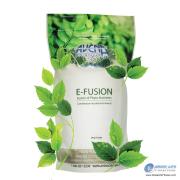  Avena E-Fusion 