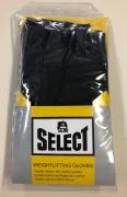  Select Leather Weight Lifting Gloves 